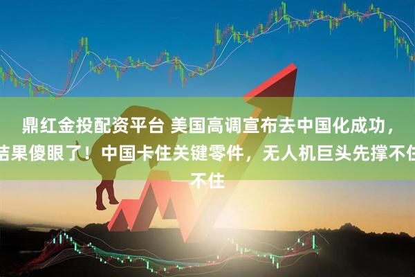鼎红金投配资平台 美国高调宣布去中国化成功，结果傻眼了！中国卡住关键零件，无人机巨头先撑不住